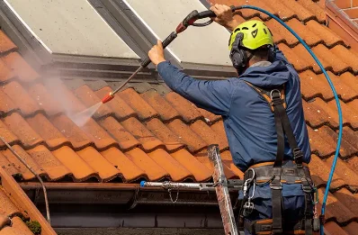 Démoussage et hydrofuge de toiture à Porte des Pierres Dorées